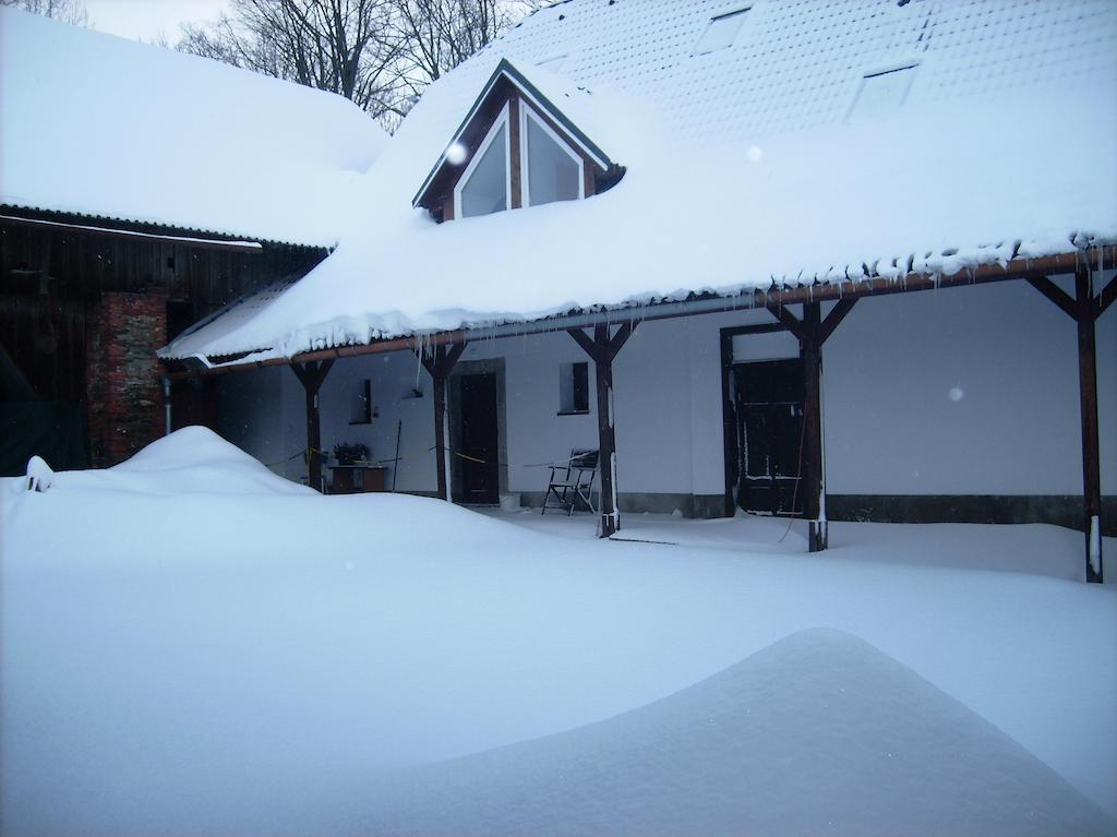 Penzion U Dvojice Nove Mesto na Morave Extérieur photo