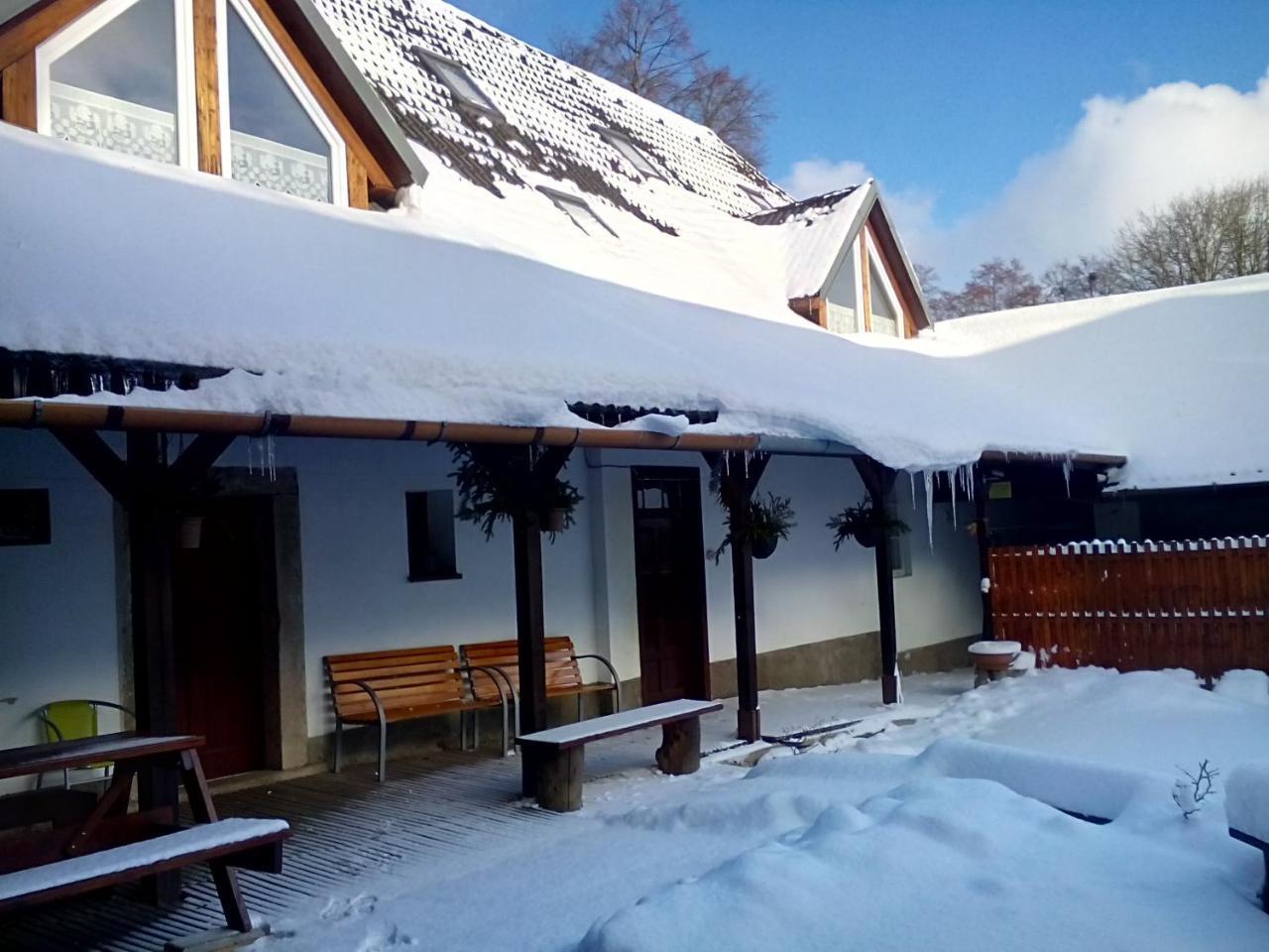Penzion U Dvojice Nove Mesto na Morave Extérieur photo