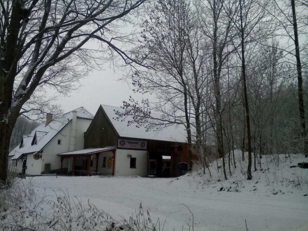 Penzion U Dvojice Nove Mesto na Morave Extérieur photo